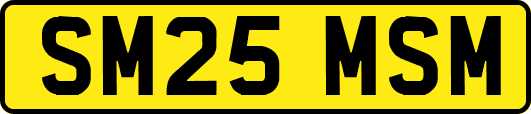SM25MSM