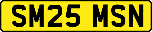 SM25MSN