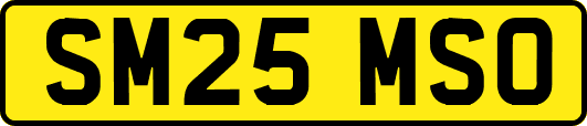 SM25MSO
