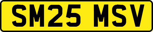 SM25MSV