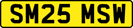 SM25MSW