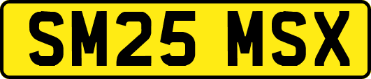 SM25MSX