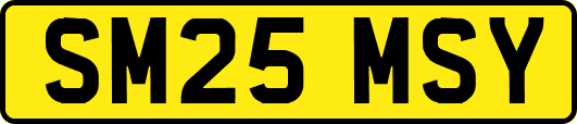 SM25MSY