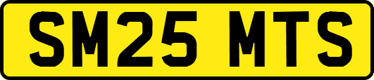 SM25MTS