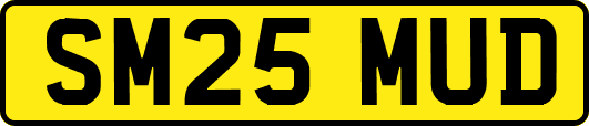 SM25MUD