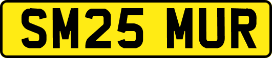 SM25MUR