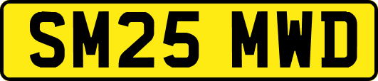 SM25MWD