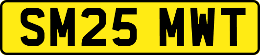 SM25MWT