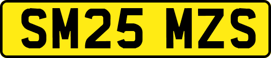 SM25MZS