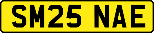 SM25NAE