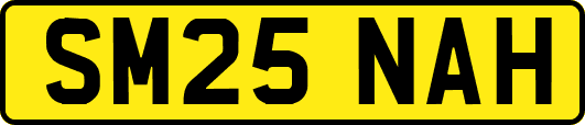 SM25NAH