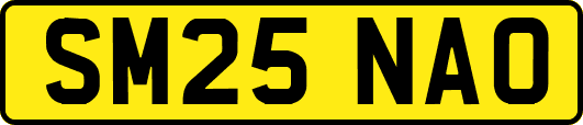 SM25NAO