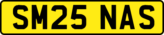 SM25NAS