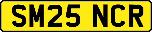 SM25NCR