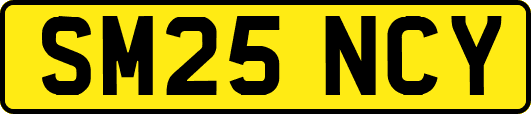SM25NCY