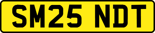 SM25NDT