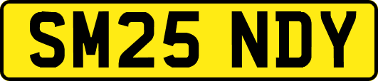 SM25NDY