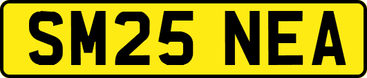 SM25NEA