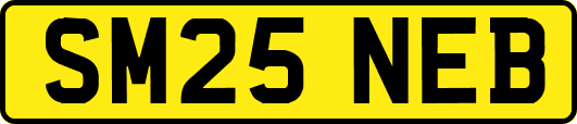 SM25NEB