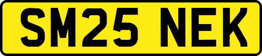 SM25NEK