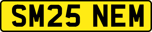 SM25NEM
