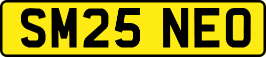 SM25NEO