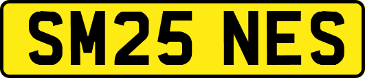 SM25NES