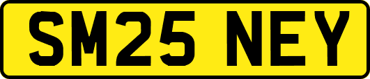 SM25NEY