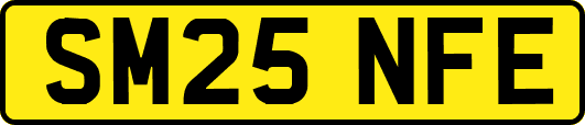 SM25NFE