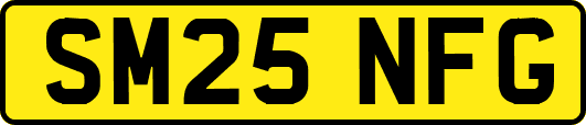 SM25NFG