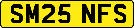 SM25NFS