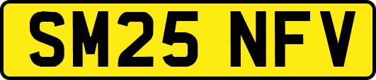 SM25NFV