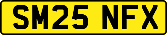 SM25NFX