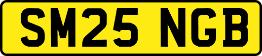 SM25NGB
