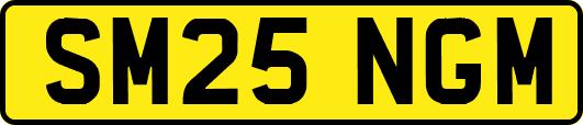 SM25NGM