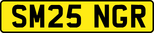 SM25NGR