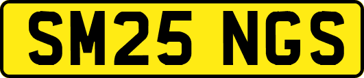 SM25NGS