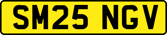 SM25NGV