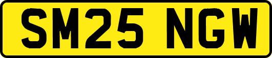SM25NGW