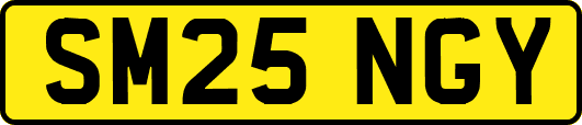 SM25NGY