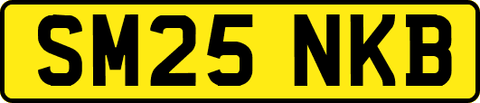 SM25NKB