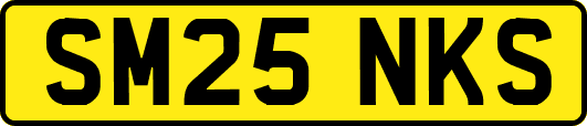 SM25NKS