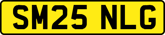SM25NLG