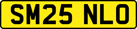 SM25NLO