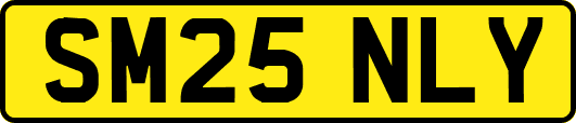 SM25NLY