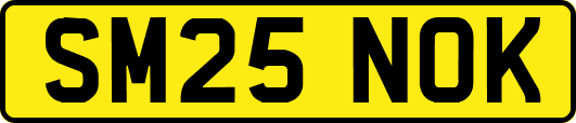 SM25NOK