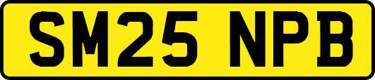 SM25NPB