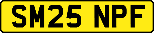 SM25NPF