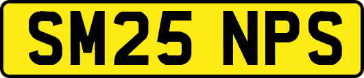 SM25NPS