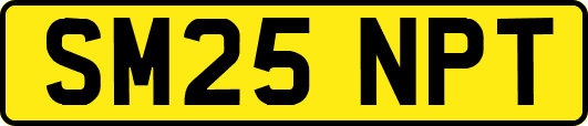 SM25NPT
